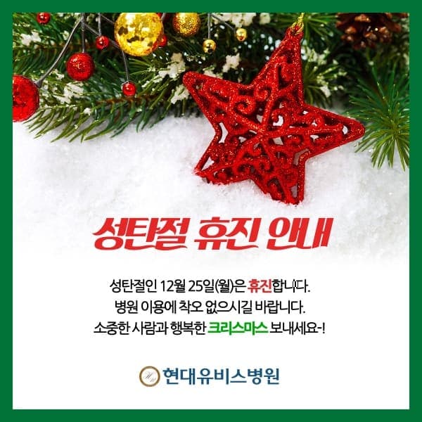 성탄절 휴진 안내 사진 1
