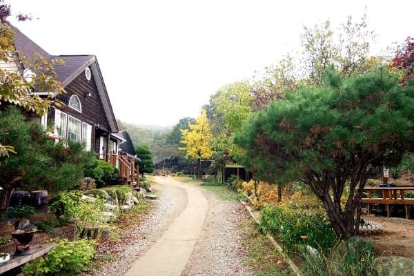 전 직원이 함께한 가을 야유회 사진 2